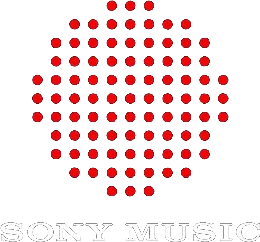 Sony Icon