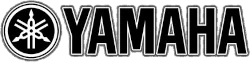 Yamaha Icon
